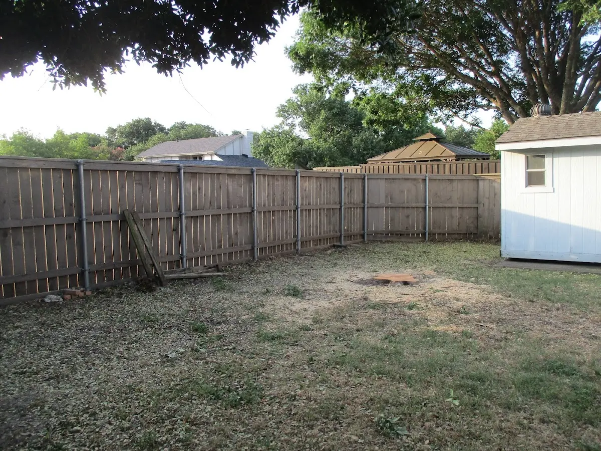 Cleared yard after professional tree removal in Indian Springs